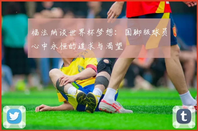 福法纳谈世界杯梦想：国脚级球员心中永恒的追求与渴望