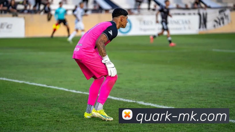 MK体育发展历程